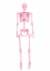 Crazy Bones Poseable Skeleton In Pink Halloween Prop