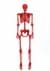 Crazy Bones Poseable Skeleton In Red Halloween Prop