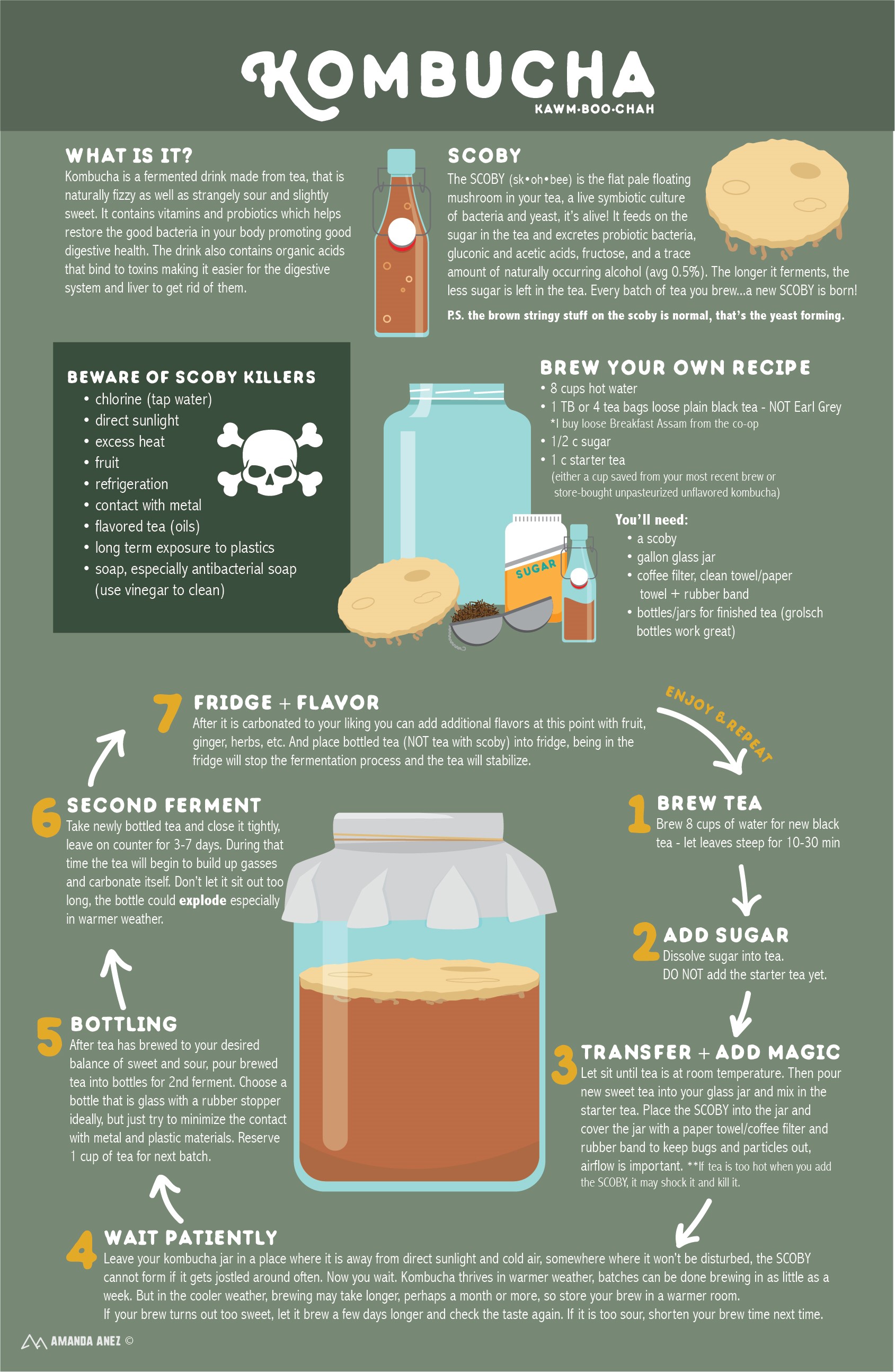 Kombucha infographic by Amanda Anez