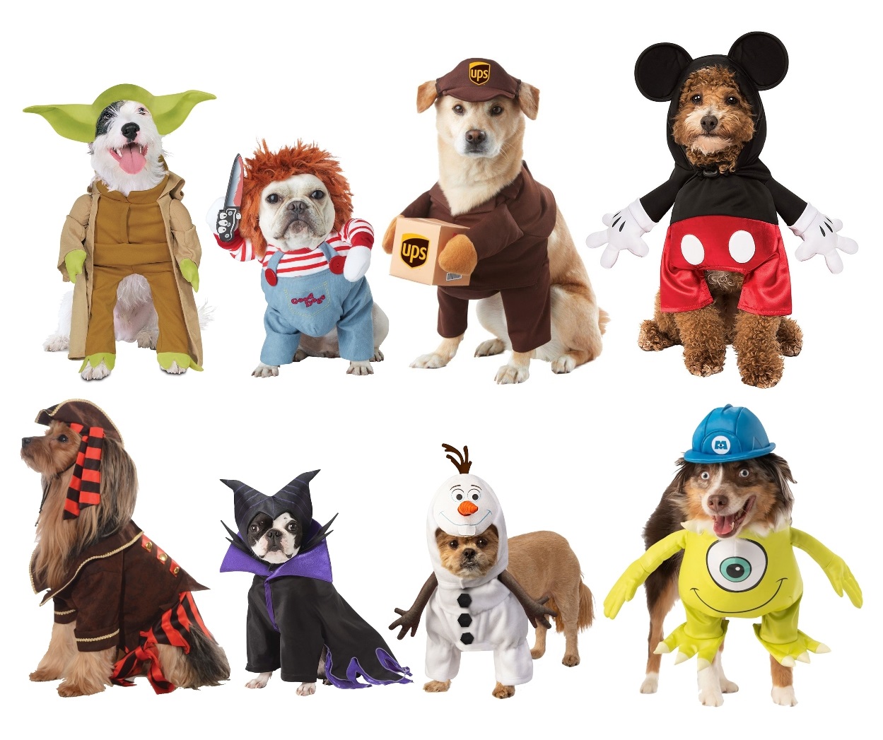 Popular Pet Costumes