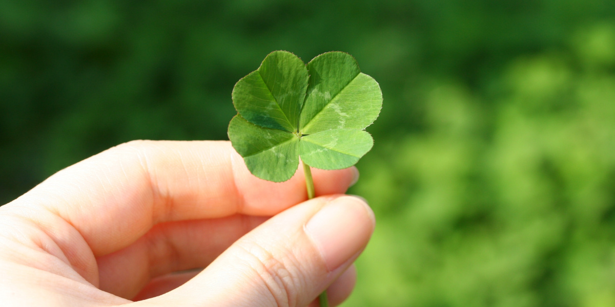 Learn About the Clover and Other Symbols of Luck