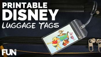 10 Disney-Themed Luggage Tags for Disney Fanatics!
