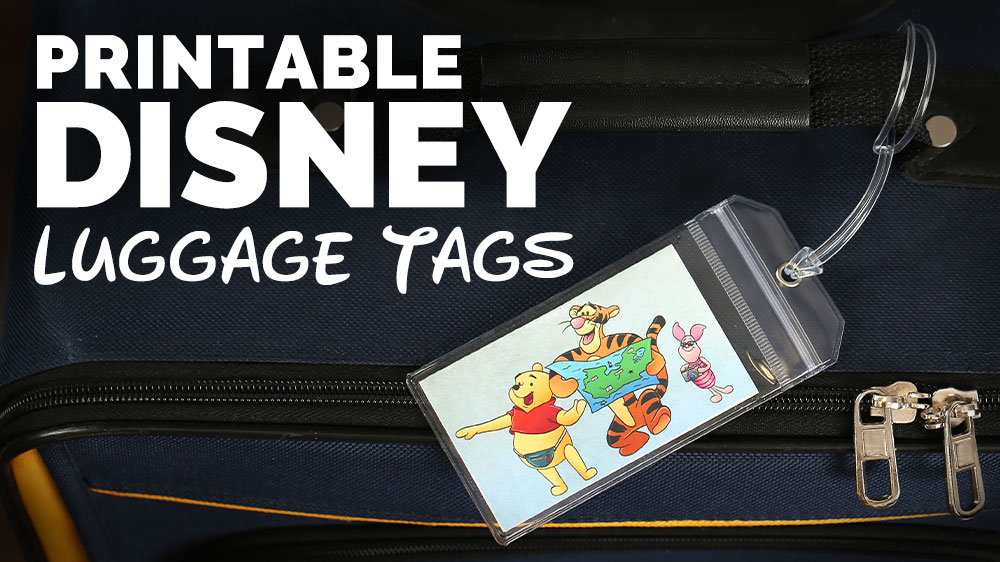 Disney Luggage Tags
