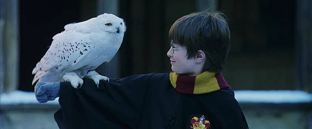 Hedwig - Harry Potter