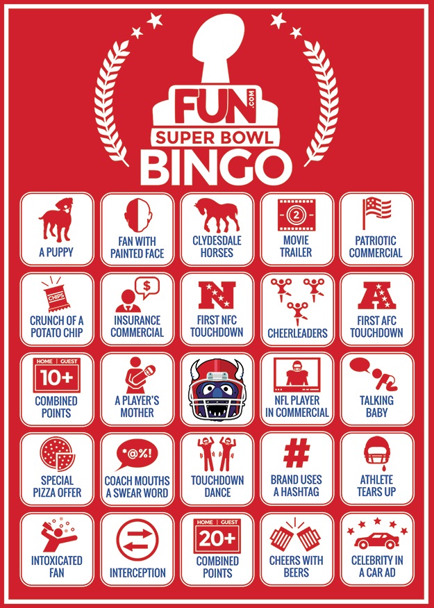 Super Bowl 2015 Bingo