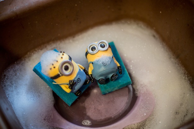 Minions in the Sink