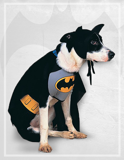 Batman Dog Costume