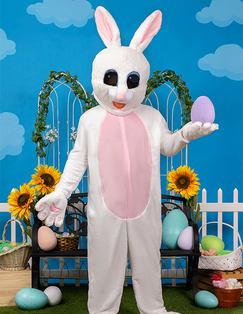 Plus Size Bunny Costume