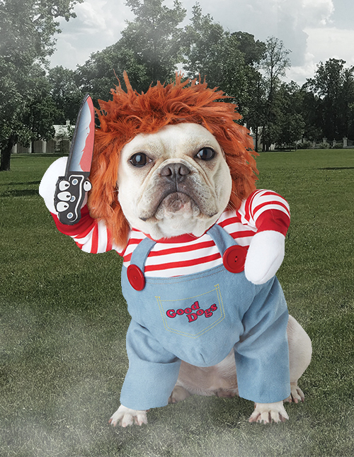 Chucky outfit outlet dog