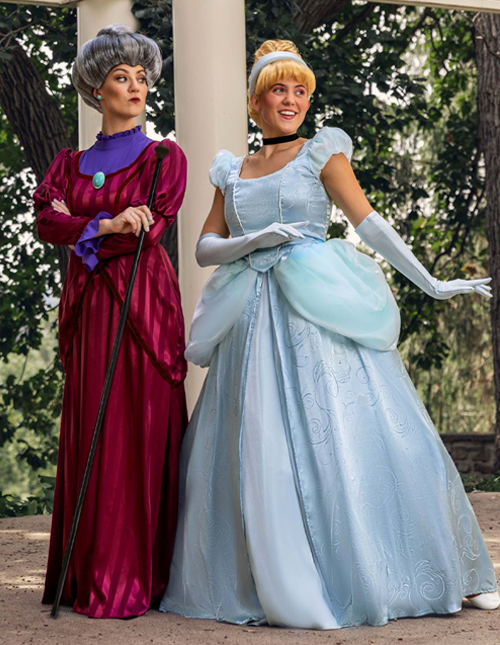 Adult Cinderella Costume