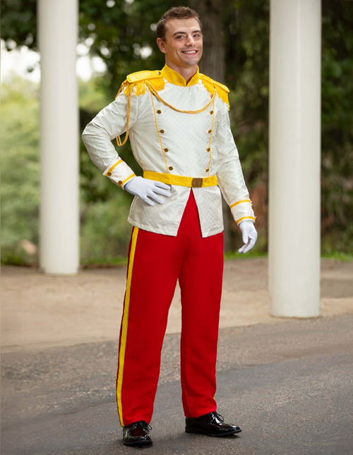 Adult Prince Charming Costume