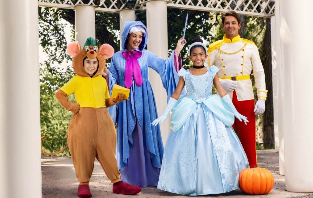 Cinderella Costumes