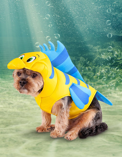 Disney Flounder Dog Costume