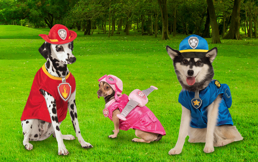 Paw patrol dog clearance outfit