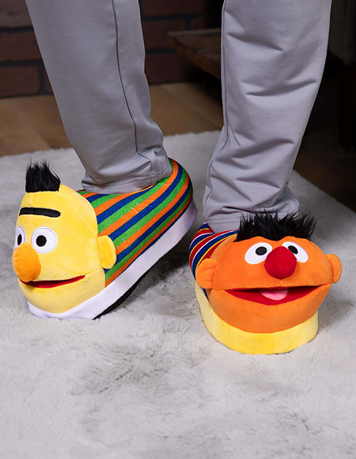 Sesame Street Slippers