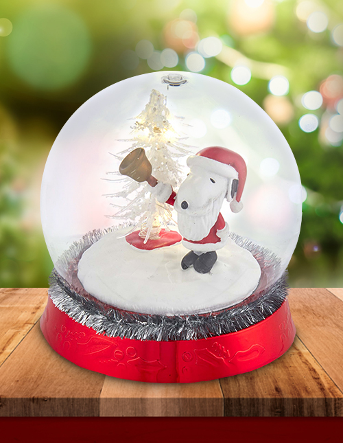 Santa Snow Globe