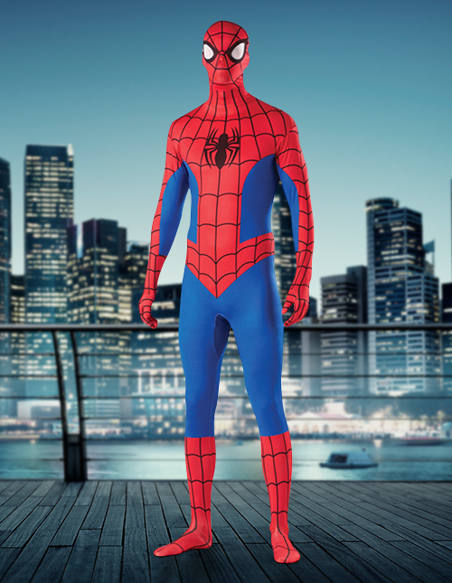 Amazing Spiderman Costume