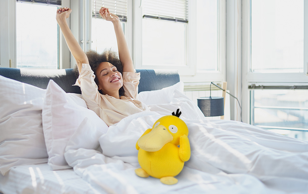 Pokémon Plush Toys Pokémon Plush Toys