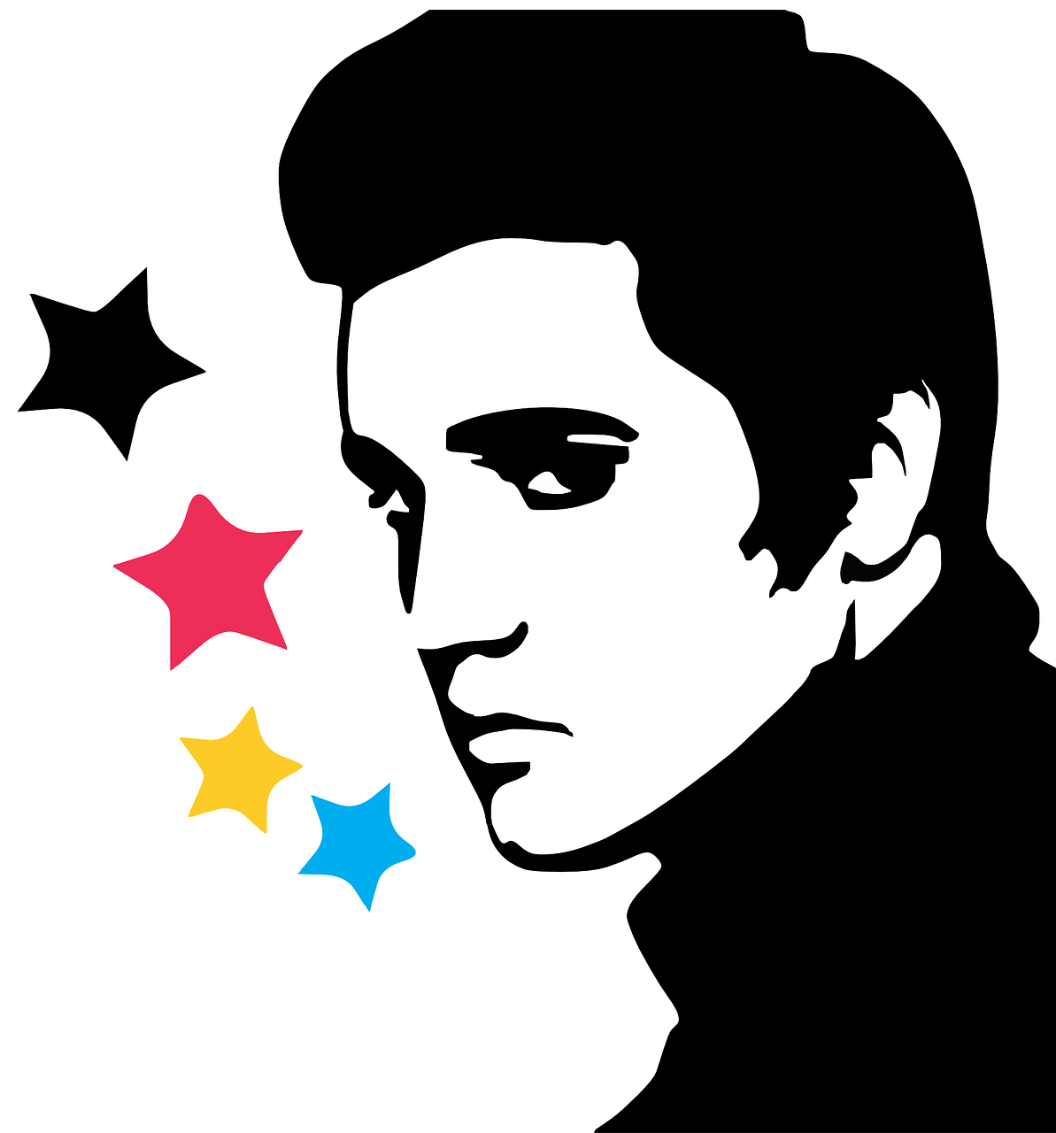 Elvis Presley Guide