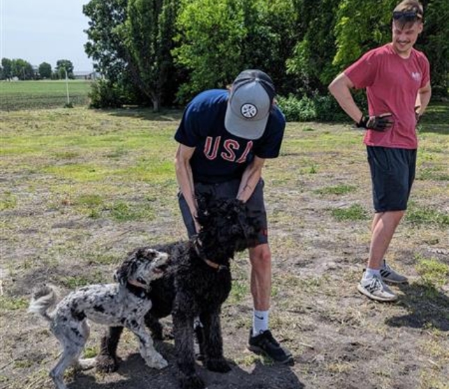Two dogs happily greeting a person while another looks on