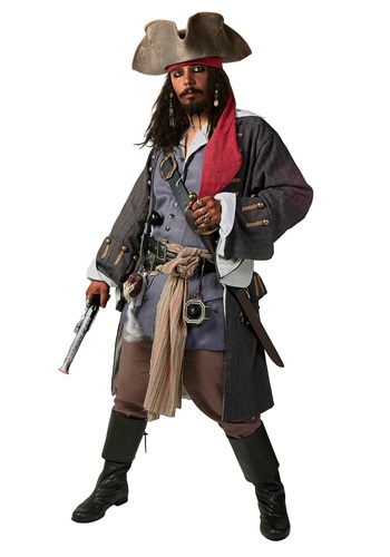 Men's Plus Size Realistic Caribbean Pirate Costume