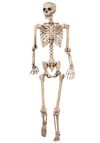 Realistic Posable Skeleton update