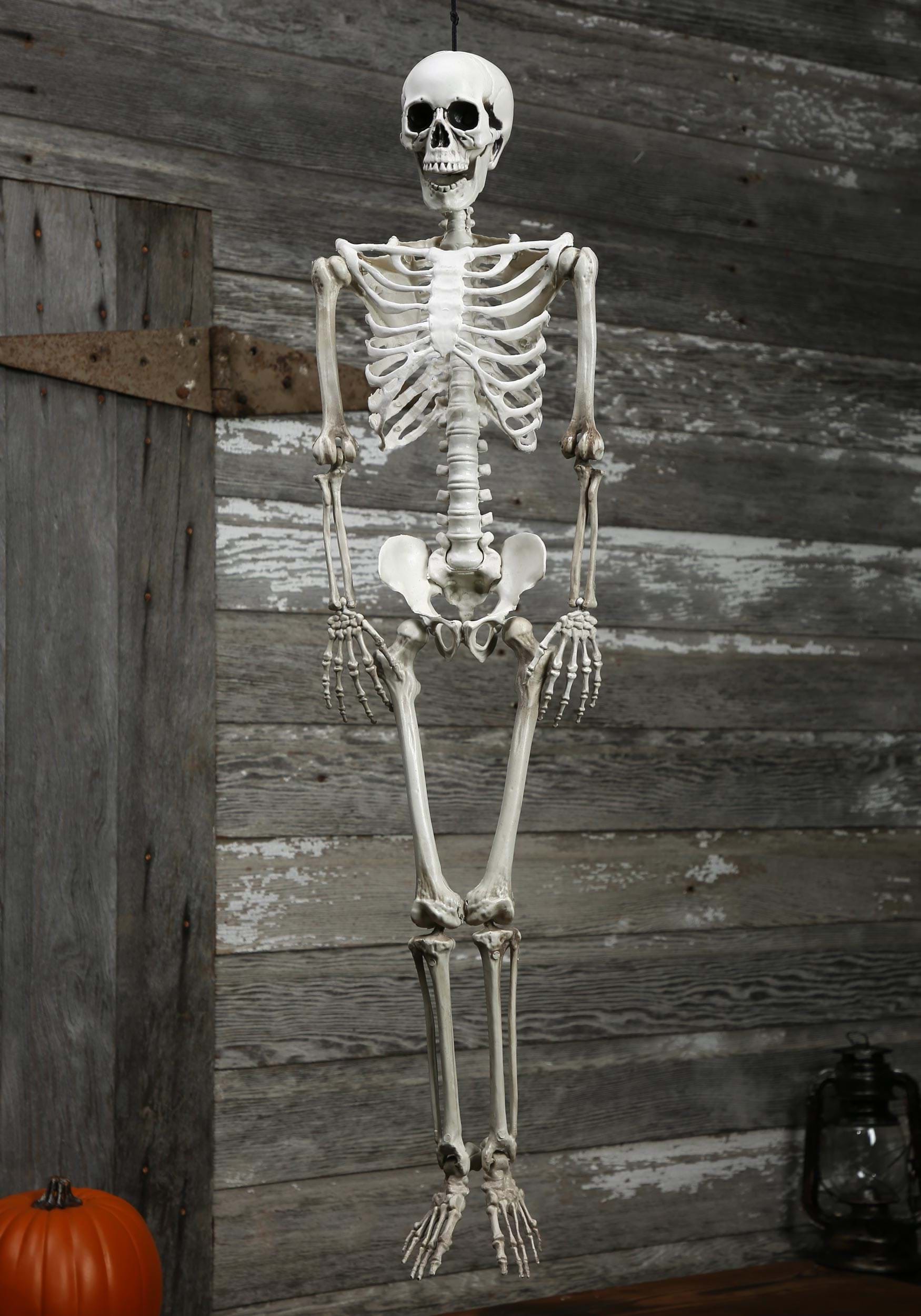 Realistic Skeleton Prop Decoration