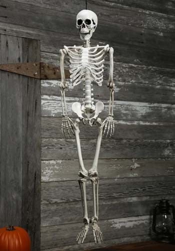 Realistic Skeleton Prop-0