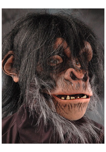 Realistic Hairy Chimp Mask