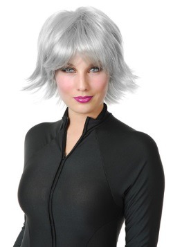 Silver Superhero Women's Wig