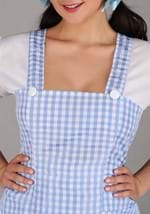 Blue Gingham Dress Costume Alt 2