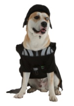 Pet Darth Vader Costume