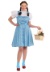 Plus Size Adult Dorothy Costume for Women | Kansas Girl Costume