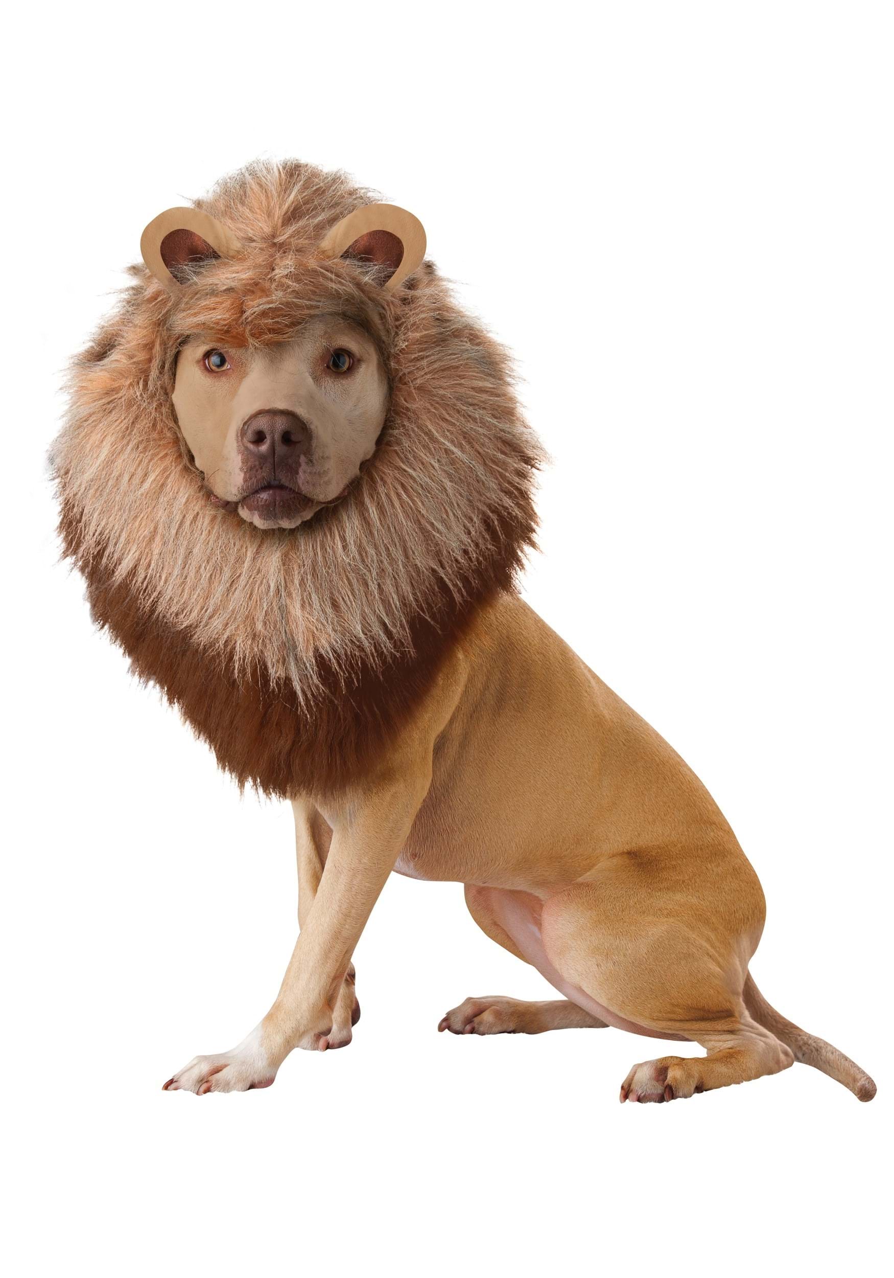 Lion Costume for Pets