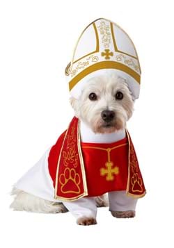 Holy Hound Dog Costume Update 1