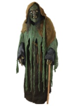 Adult Scary Witch Costume