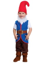 Boys Bearded Gnome Toddler Costume