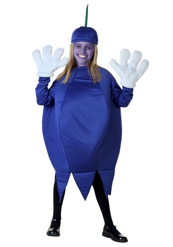 Exclusive Child Blueberry Costume