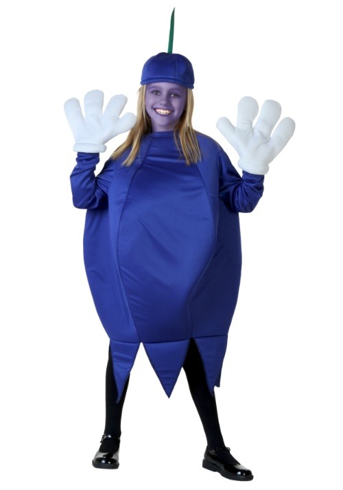 Exclusive Child Blueberry Costume