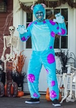 Plus Size Sulley Costume Alt 10