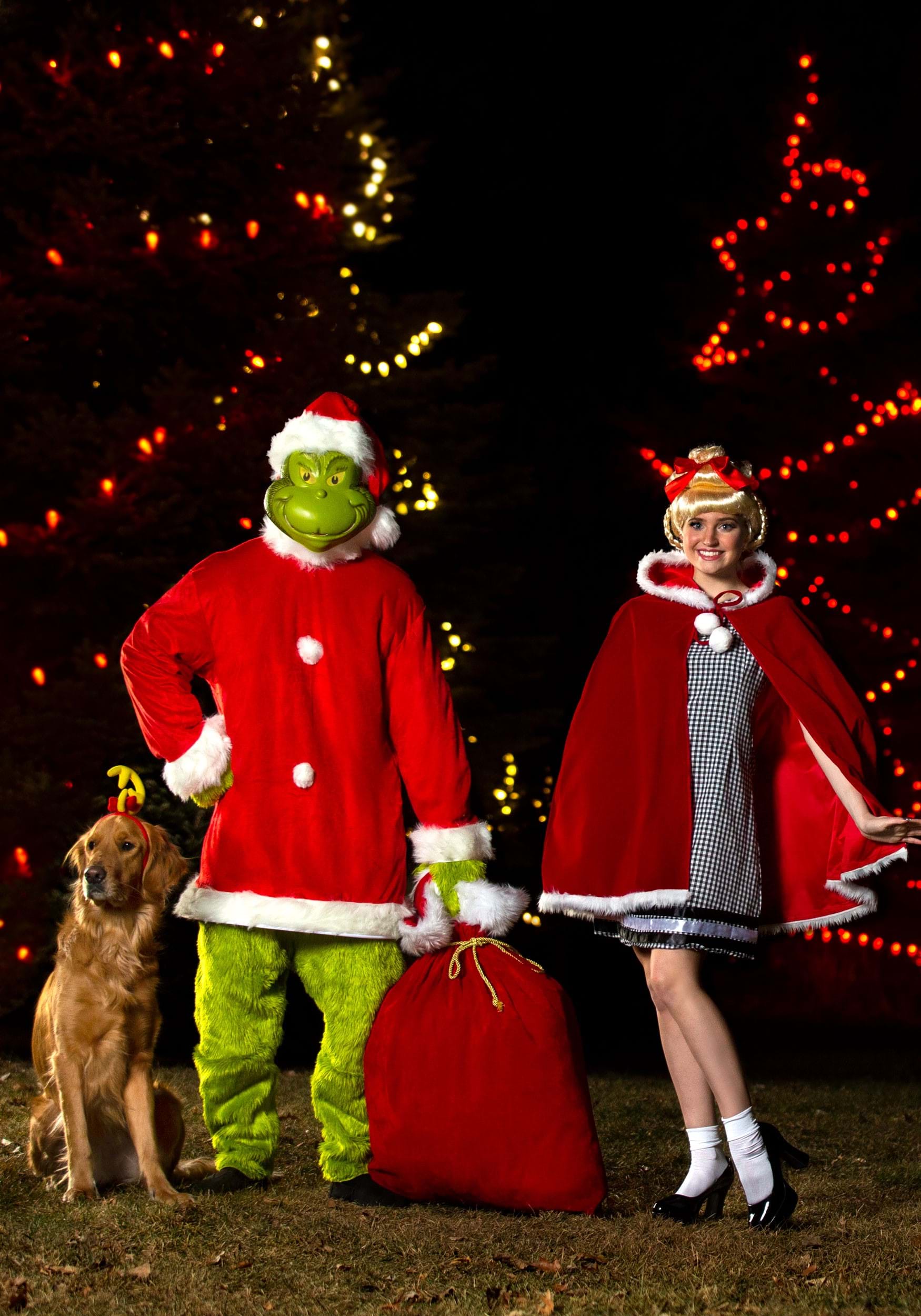 Christmas Dog Outfit Inspired by Grinch Dog Dress Cindy Lou 