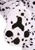 Toddler Dalmatian Costume Alt 2