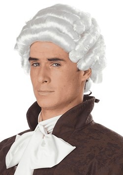 Mens White Colonial Wig