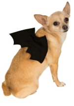 Bat Wings Pet Costume