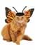 Pet Monarch Butterfly Dog Costume Alt 1