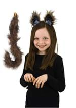 Cat Ears Tail Kit Alt 1