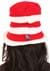 Cat in the Hat Toddler Accessory Alt 3