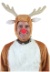 Deer Adult Costume2