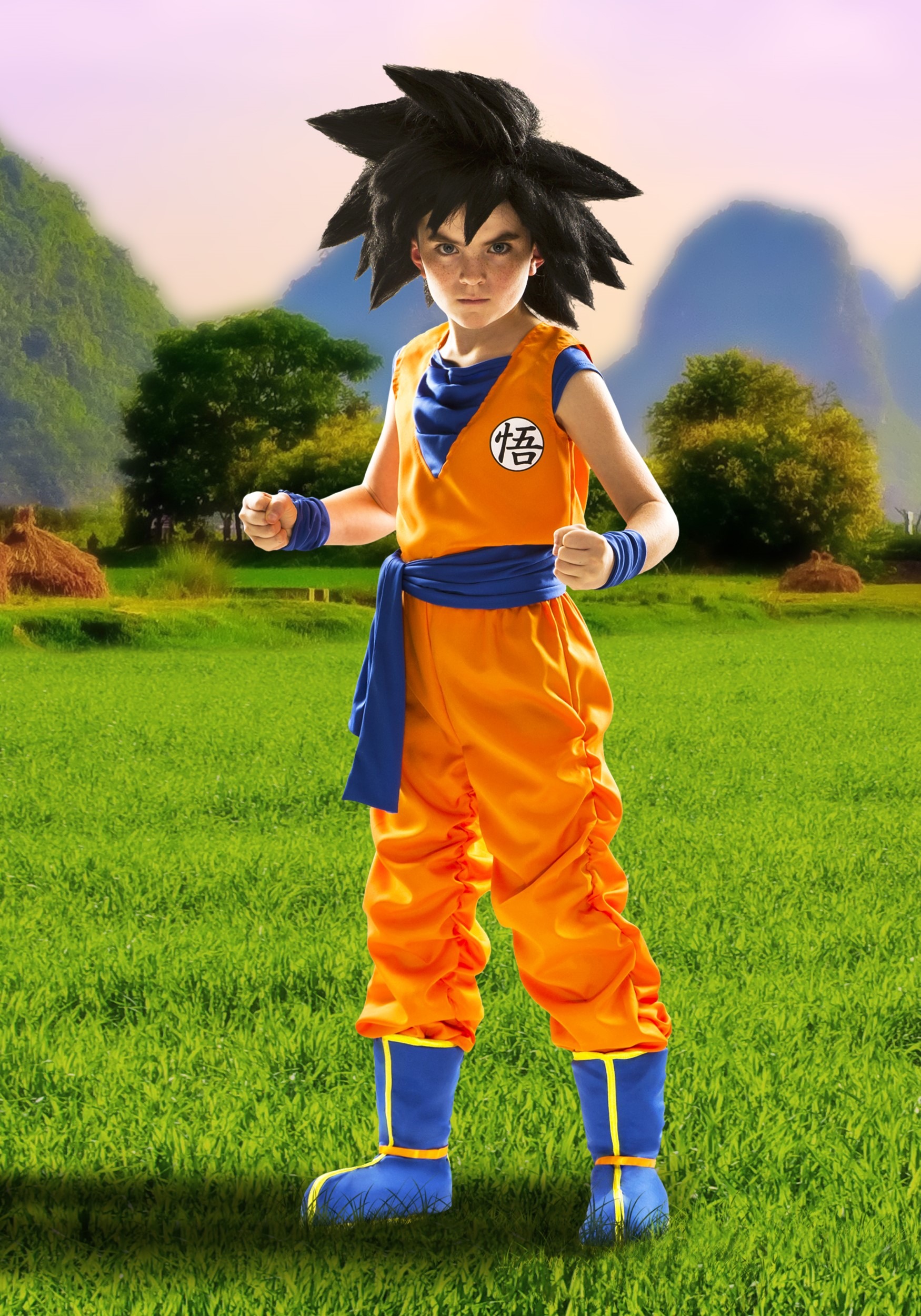 DBZ Kid's Goku Costume