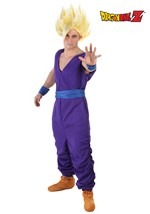 DBZ Adult Gohan Costume